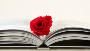 An open book with a red rose lying on top of it
