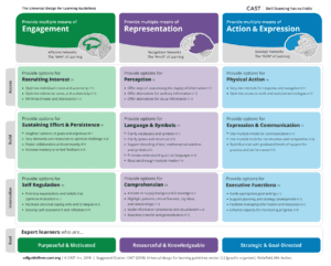 A graphic representing the guidelines for UDL